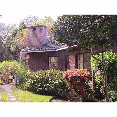 Forest Nest Cottage, Tsitsikamma Stormsrivier Dış mekan fotoğraf